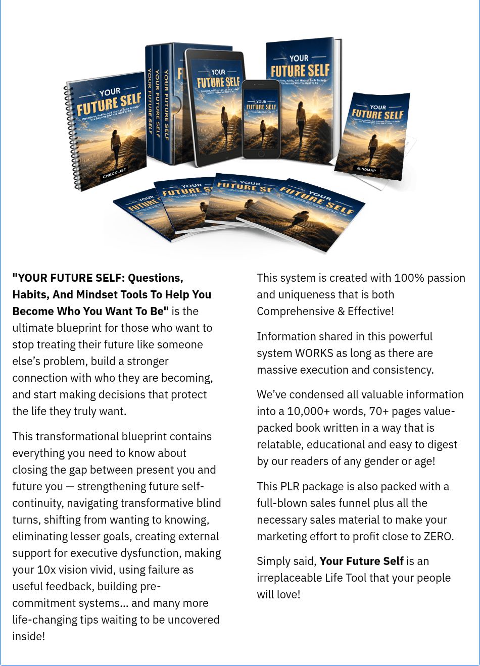 A closer view of the Your Future Self PLR package components including the main ebook, checklist, mindmap, and multiple report covers.